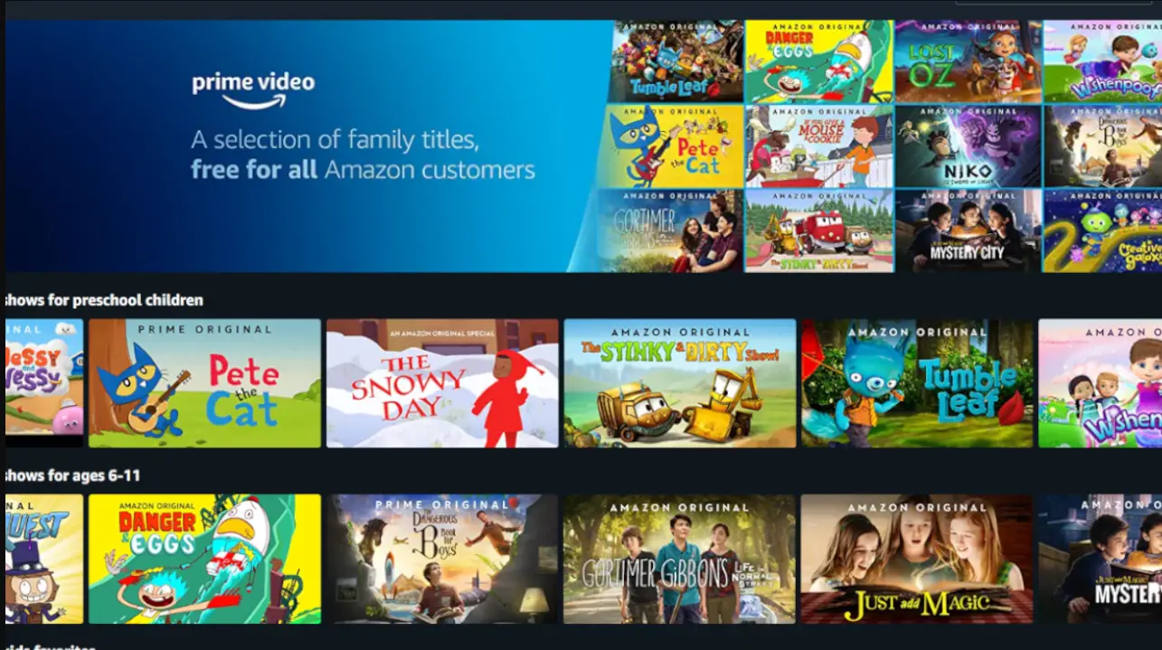 Samsung TV Prime Video funktioniert nicht wie man es behebt Das